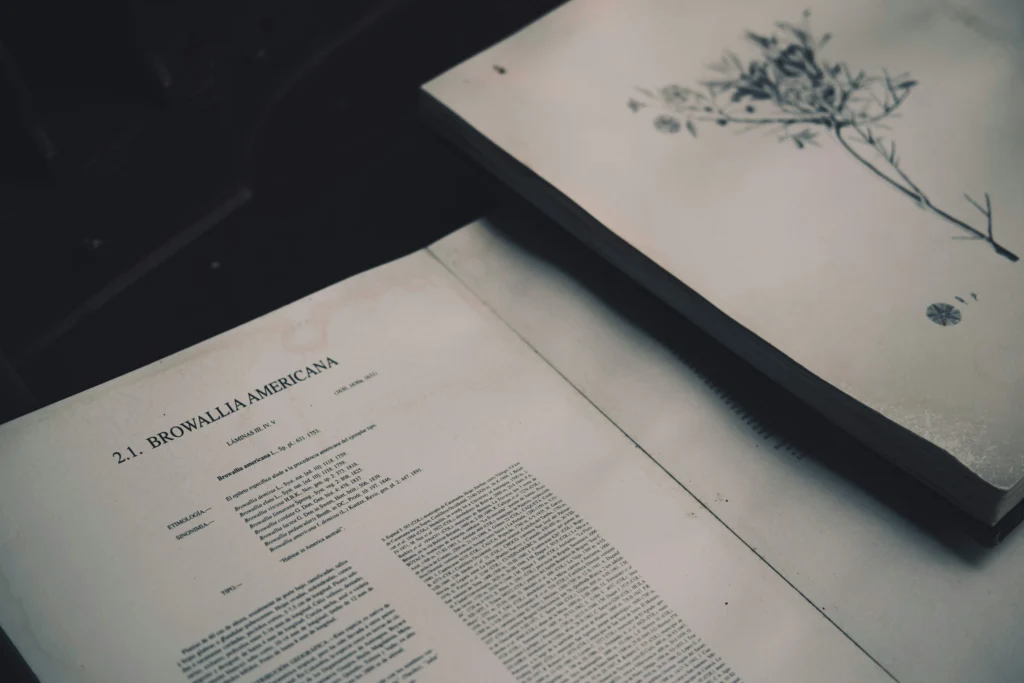 Literatür taraması